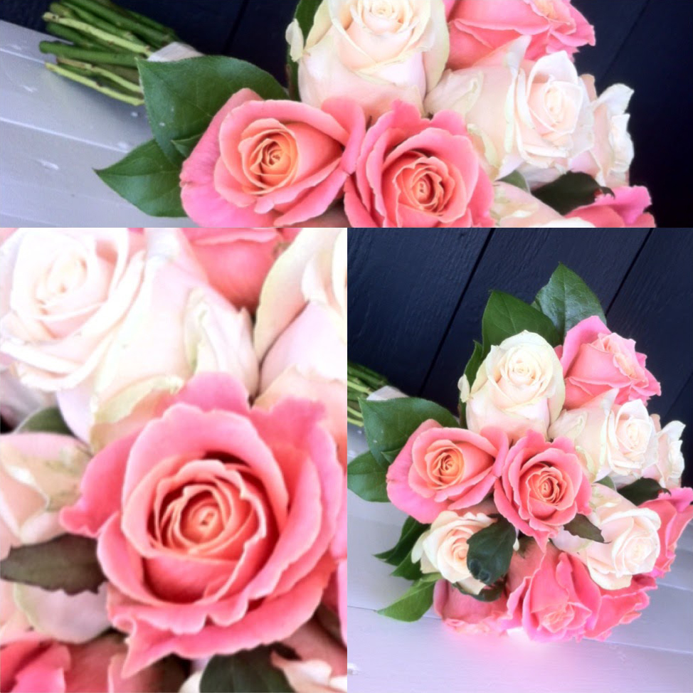 Vita och rosa rosor